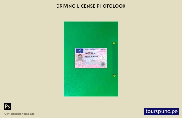 listo para imprimir Plantilla FRONTAL de aspecto fotográfico actualizado de Ruma
