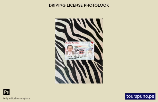listo para imprimir Plantilla FRONTAL de aspecto fotográfico de conducción del e