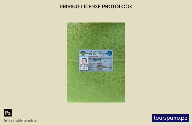 listo para imprimir Plantilla FRONTAL de aspecto fotográfico del permiso de c 46