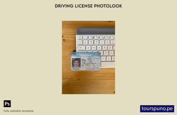 listo para imprimir Plantilla FRONTAL de foto de licencia de conducir de México