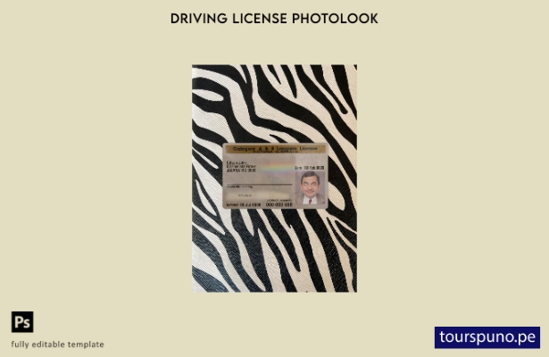 listo para imprimir Plantilla frontal de apariencia fotográfica con licencia de