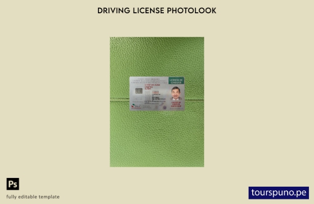 listo para imprimir licencia de conducir de México presente plantilla frontal de