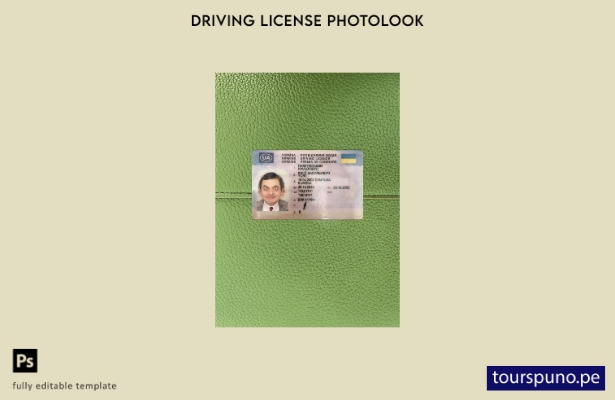 listo para imprimir licencia de conducir de Ucrania presente plantilla frontal d