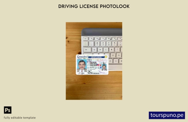 listo para imprimir plantilla FRONTAL de aspecto fotográfico DL de Connecticut d