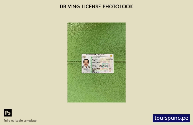 listo para imprimir plantilla FRONTAL de aspecto fotográfico DL de Puerto Rico