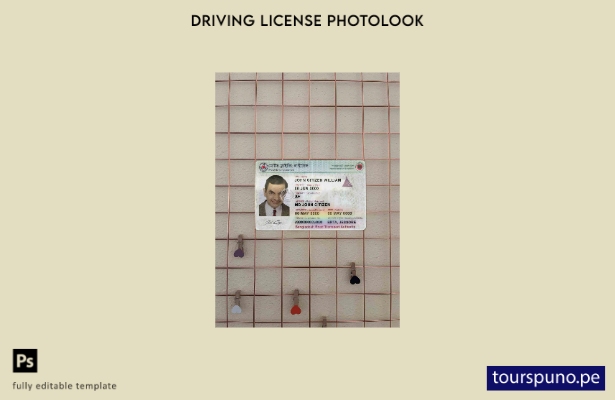 listo para imprimir plantilla FRONTAL de aspecto fotográfico de la versión DL  2