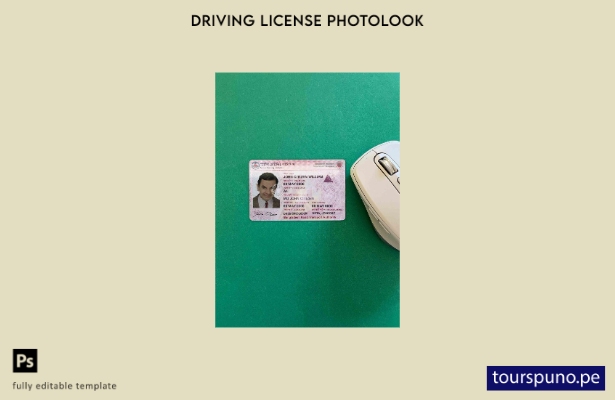 listo para imprimir plantilla FRONTAL de aspecto fotográfico de la versión DL de