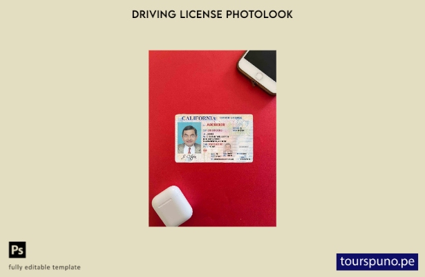 listo para imprimir plantilla FRONTAL de aspecto fotográfico de licencia de co 1