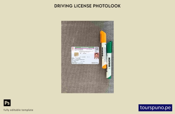 listo para imprimir plantilla FRONTAL de aspecto fotográfico del permiso de c 27