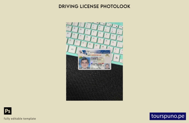 listo para imprimir plantilla FRONTAL de aspecto fotográfico del permiso de c 63
