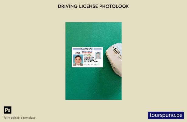listo para imprimir plantilla FRONTAL de foto de versión de licencia de conduc 5
