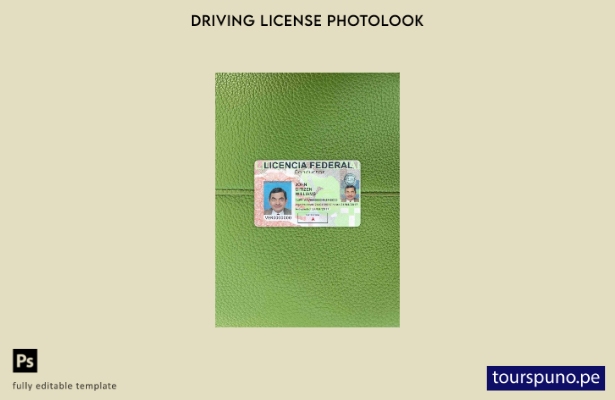 listo para imprimir plantilla FRONTAL de fotolook de licencia de conducir de Méx