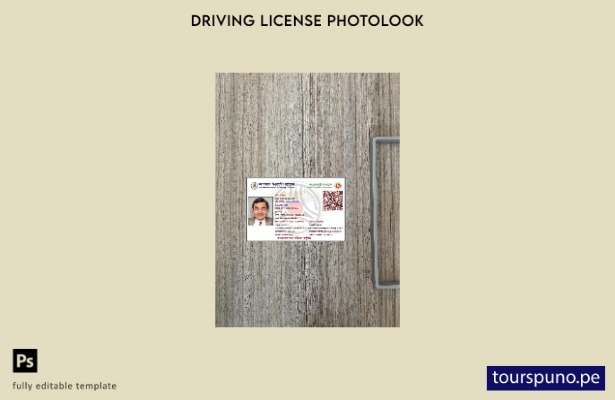 listo para imprimir plantilla frontal de apariencia fotográfica de licencia de c