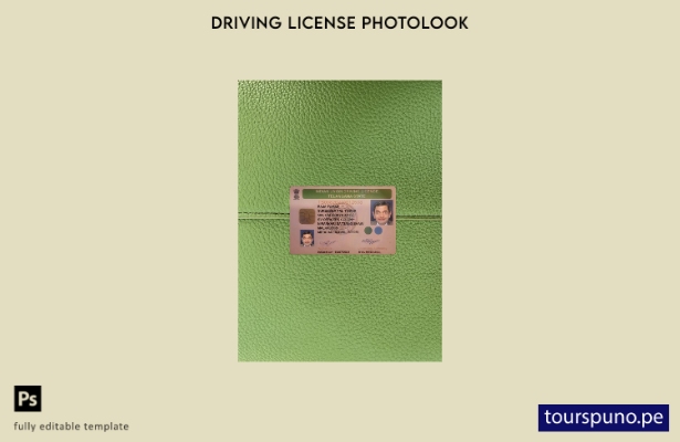 listo para imprimir plantilla frontal de aspecto fotográfico del permiso de c 28
