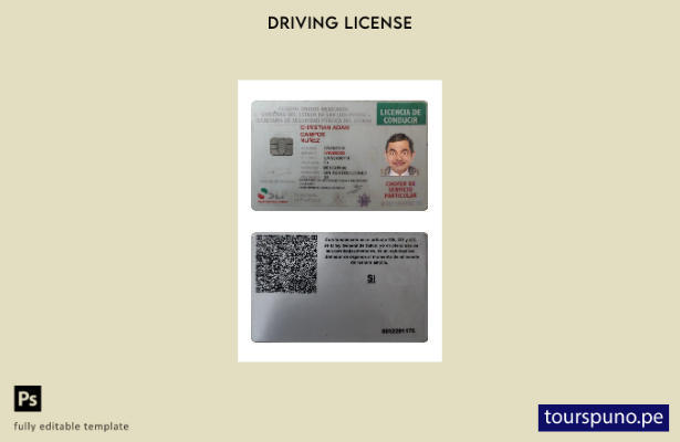 Listo para imprimir la plantilla actual de licencia de conducir de México