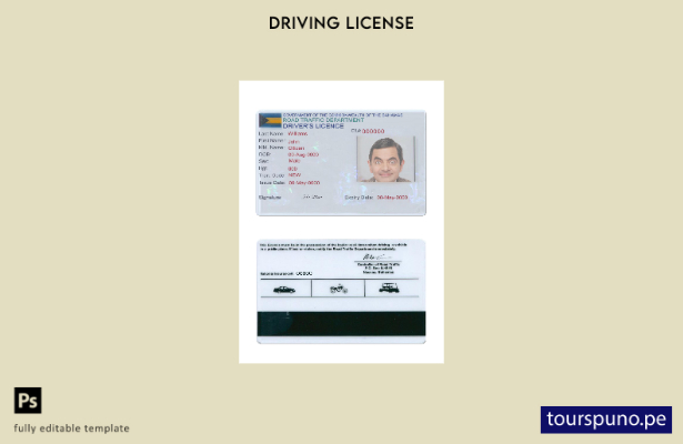 Plantilla de licencia de conducir de Bahamas lista para imprimir