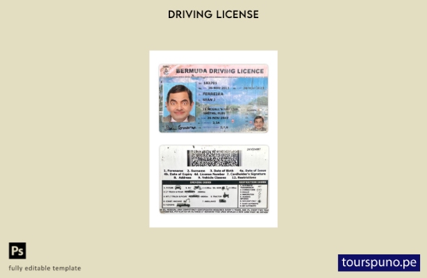Plantilla de licencia de conducir de Bermudas lista para imprimir