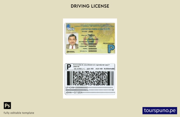 Plantilla de licencia de conducir de Bolivia lista para imprimir