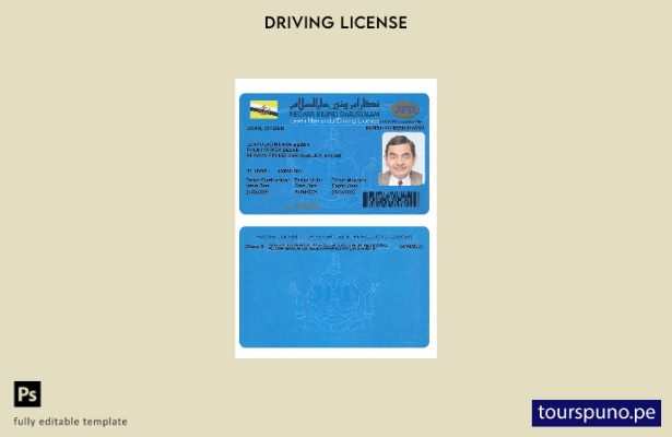 Plantilla de licencia de conducir de Brunei lista para imprimir