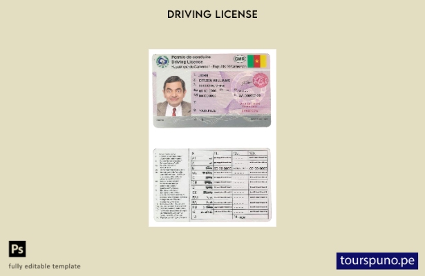 Plantilla de licencia de conducir de Camerún lista para imprimir