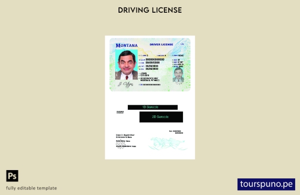 Plantilla de licencia de conducir de EE. UU., Montana, lista para imprimir