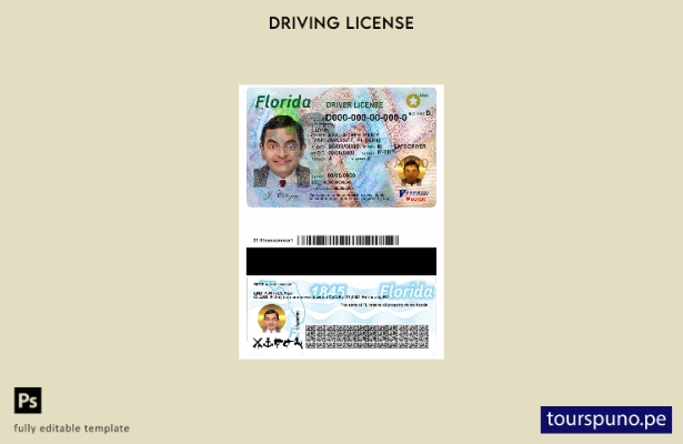 Plantilla de licencia de conducir de Florida de EE. UU. lista para imprimir