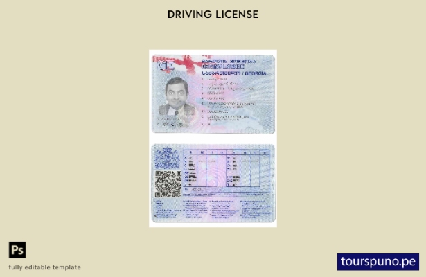 Plantilla de licencia de conducir de Georgia lista para imprimir