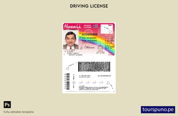 Plantilla de licencia de conducir de Hawái lista para imprimir