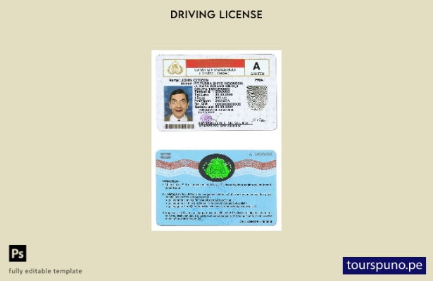 Plantilla de licencia de conducir de Indonesia lista para imprimir