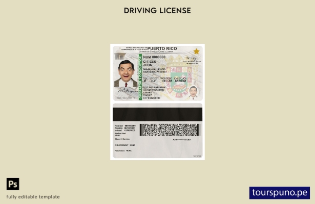 Plantilla de licencia de conducir de Puerto Rico lista para imprimir