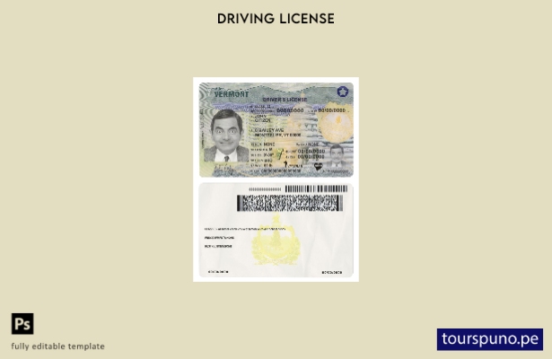 Plantilla de licencia de conducir de Vermont de EE. UU. lista para imprimir (pre