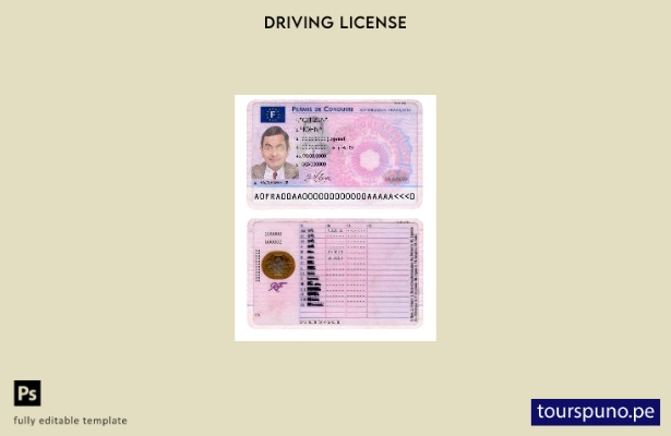 Plantilla de permiso de conducir de Francia lista para imprimir