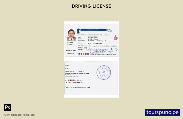 Plantilla de versión de licencia de conducir de India lista para imprimir