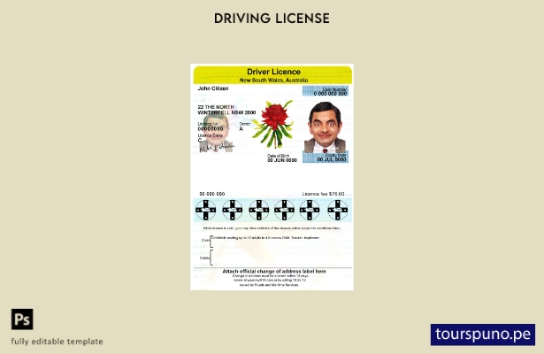lista para imprimir plantilla de licencia de conducir de Australia Nueva Gales d