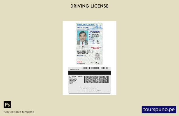listo para imprimir el permiso de conducir de Michigan de EE. UU. bajo plantilla