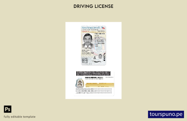 listo para imprimir la licencia de conducir de EE. UU. Nueva York bajo la planti