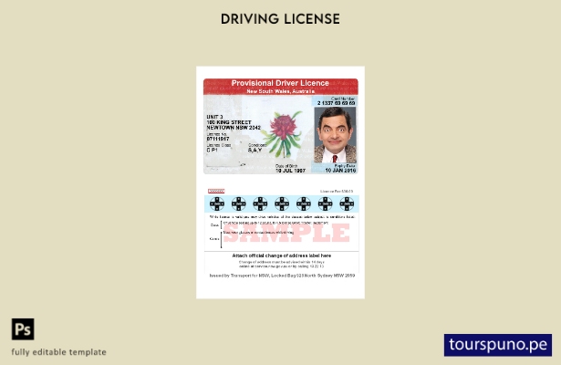 listo para imprimir plantilla de licencia de conducir provisional de Australia N