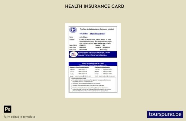listo para imprimir India Plantilla de tarjeta de seguro médico limitado de la n