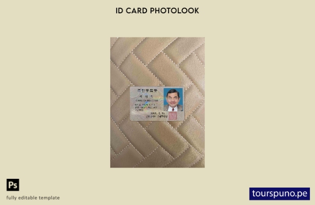 Plantilla FRONTAL lista para imprimir con aspecto fotográfico de identificaci 14