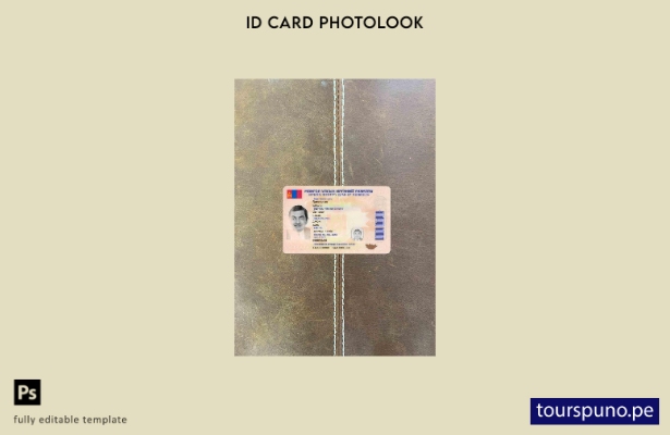 Plantilla FRONTAL lista para imprimir con aspecto fotográfico de identificaci 19