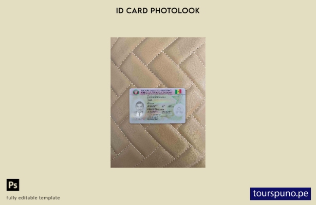 Plantilla FRONTAL lista para imprimir con aspecto fotográfico de identificaci 24