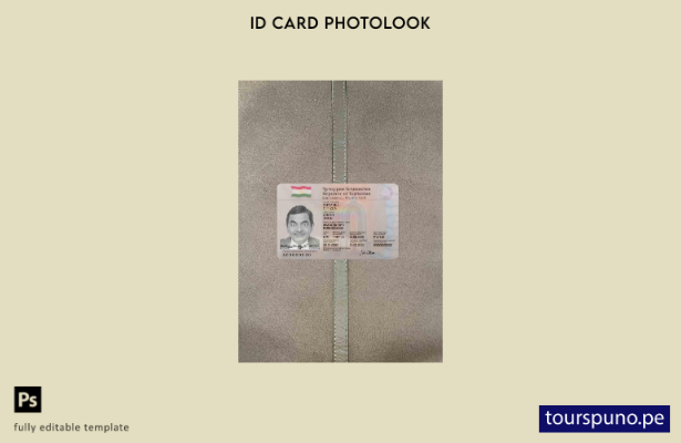 Plantilla FRONTAL lista para imprimir con aspecto fotográfico de identificaci 29