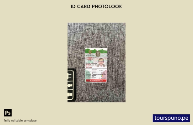 Plantilla de fotolook lista para imprimir versión de identificación de México