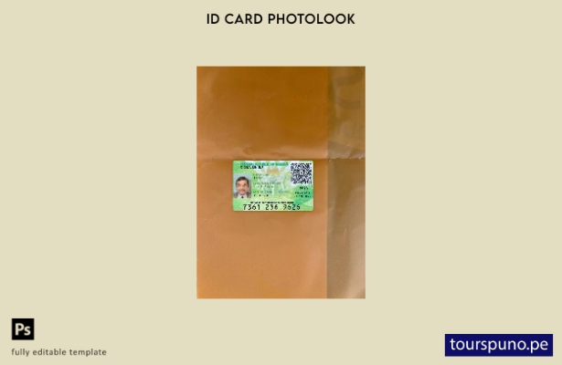 Plantilla frontal de aspecto fotográfico de tarjeta de recibo NIN digital de Nig