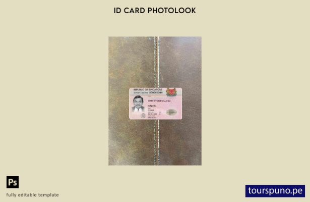 listo para imprimir Plantilla FRONTAL de fotolook de identificación de Singapur