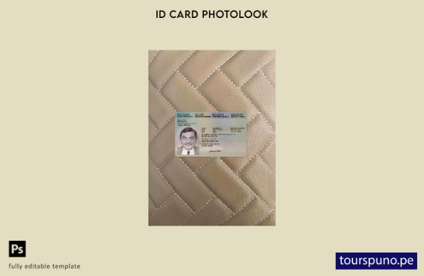 listo para imprimir Plantilla FRONTAL de presentación fotográfica de identificac