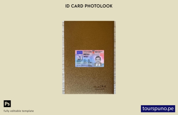 listo para imprimir Plantilla frontal de aspecto fotográfico de documento de ide