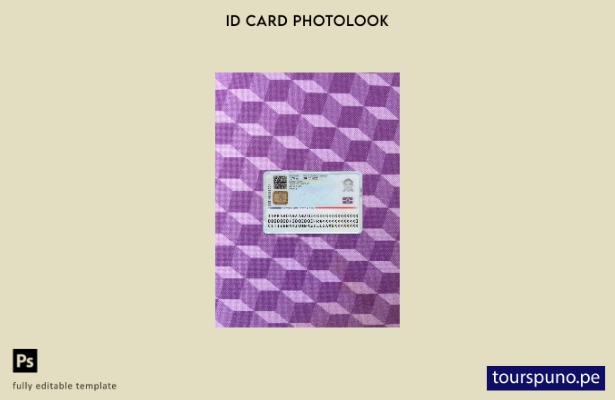 listo para imprimir la plantilla de fotolook de la versión actual de la tarjeta