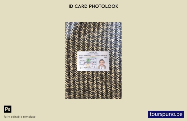 listo para imprimir plantilla FRONTAL de aspecto fotográfico de tarjeta de id 21