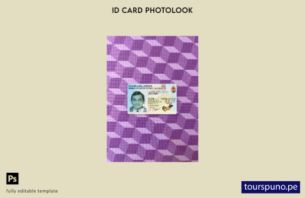 listo para imprimir plantilla FRONTAL de foto de identificación de Hungría